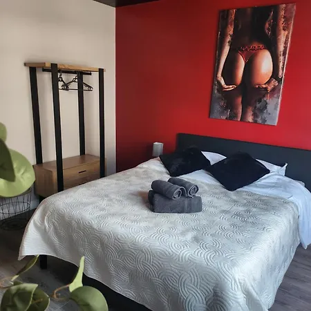 Cerises Love- Room- Balneo Lejlighed Sarralbe