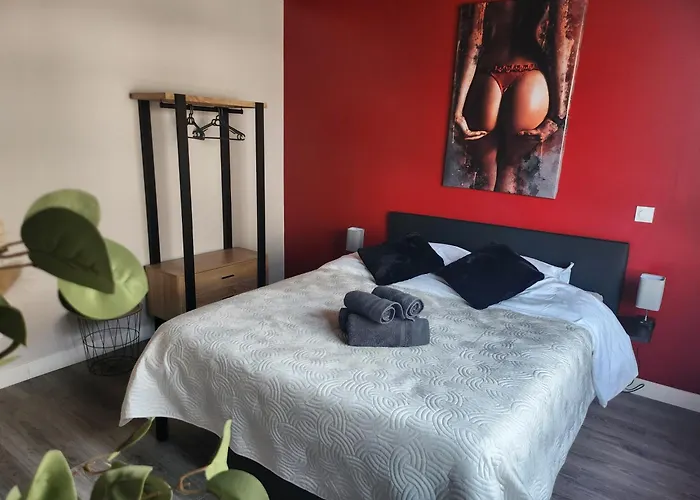 Cerises Love- Room- Balneo Апартаменты Sarralbe